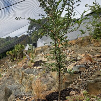 New Zealand General Project Photos