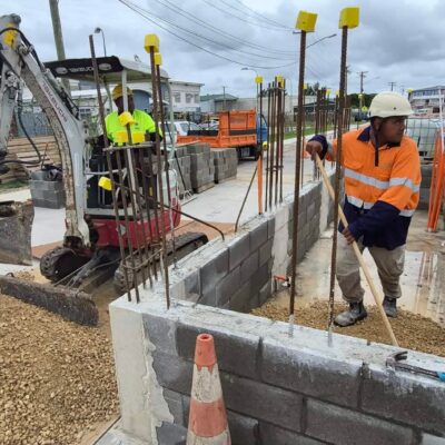 Tonga Project Photos